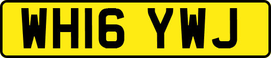 WH16YWJ