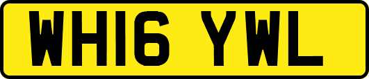 WH16YWL