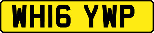 WH16YWP