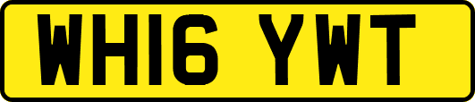 WH16YWT