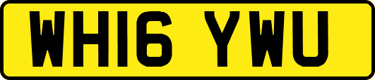 WH16YWU