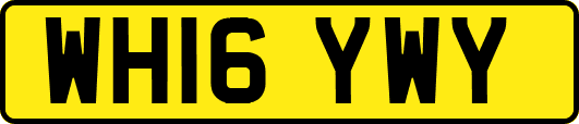 WH16YWY