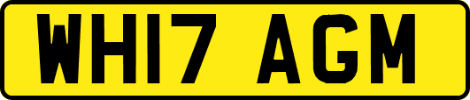 WH17AGM