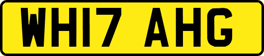 WH17AHG