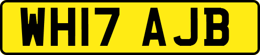 WH17AJB