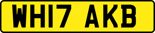 WH17AKB