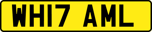 WH17AML