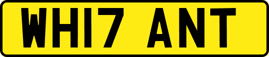 WH17ANT