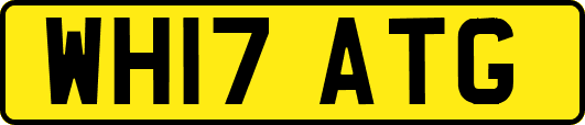 WH17ATG