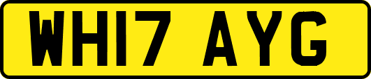WH17AYG
