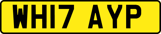 WH17AYP