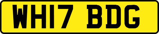 WH17BDG