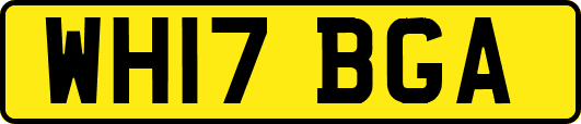 WH17BGA