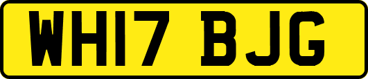 WH17BJG