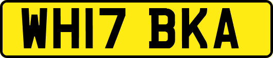 WH17BKA