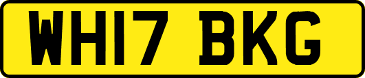 WH17BKG
