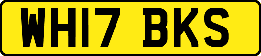 WH17BKS