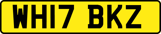 WH17BKZ