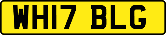 WH17BLG