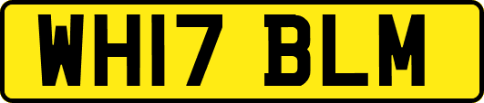 WH17BLM