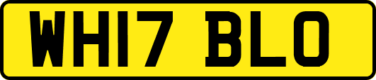 WH17BLO