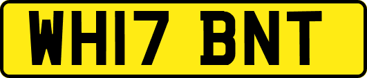WH17BNT