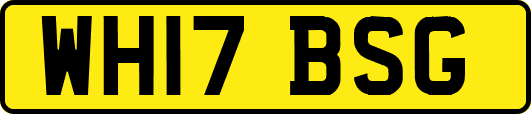 WH17BSG