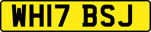 WH17BSJ