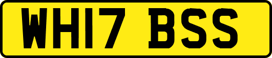 WH17BSS