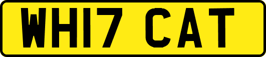WH17CAT