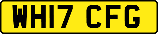 WH17CFG