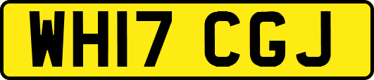 WH17CGJ
