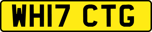 WH17CTG