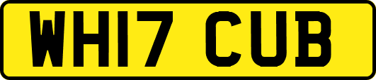 WH17CUB