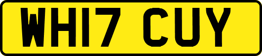 WH17CUY