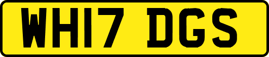 WH17DGS