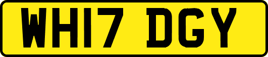 WH17DGY