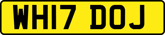 WH17DOJ