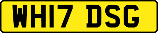 WH17DSG