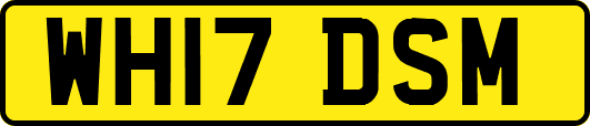 WH17DSM