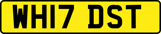 WH17DST