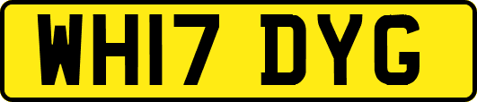 WH17DYG