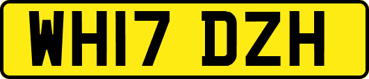 WH17DZH