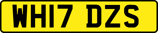 WH17DZS