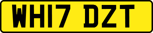 WH17DZT