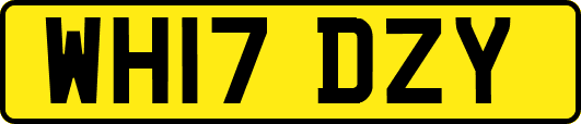 WH17DZY
