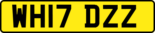 WH17DZZ