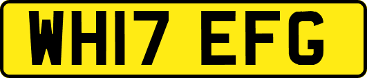 WH17EFG