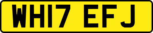 WH17EFJ