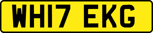 WH17EKG